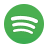 spotify_icon
